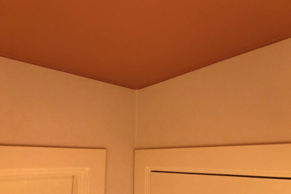 Pure & Original med Koi-farvepalett 6 2000px